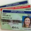 Australian driver’s license for sale online