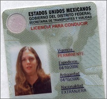 Mexican driver’s license for sale online