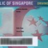 Singapore driving license for sale online