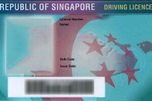 Singapore driving license for sale online